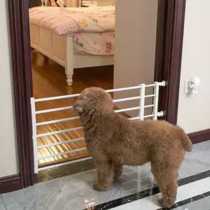 애완 동물 울타리 배리어 게이트 고양이 및 개 중형 소형견을 위한 실내 방에 침입하는 것을 방지합니다