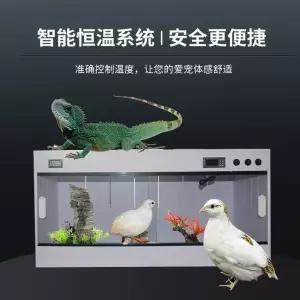 레오파드게코 사육장 항온 고슴도치 크레스티드 모델 스마트 PVC