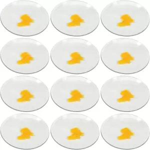 EISCO 12PK 시계 안경 2인치(5cm) 비커 및 플라스크용 커버 뚜껑 증발 접시 접지 가장자리로 광택 됨