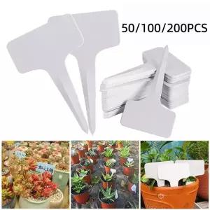 50/100/200개 화이트 플라스틱 PVC 식물 태그 T형 마커 묘목 트레이 화분 장식 정원 라벨 6x10cm