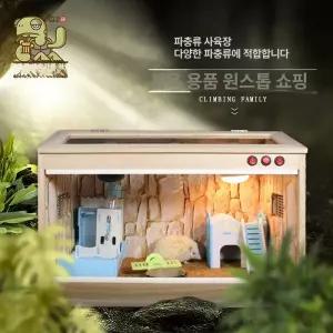 달팽이집 레오파드게코사육장 도마뱀 사육장 키우기 거미