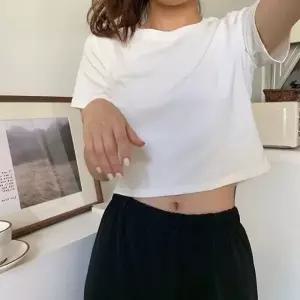 크롭라인 베이직 라운드넥 숏기장 티셔츠