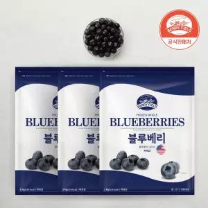 냉동 블루베리 미국산 1Kg x 3개 베리필드