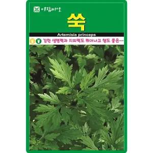 산들마켓 쑥 씨앗 0.5g 재래종 쑥씨 야생화 약초 종자