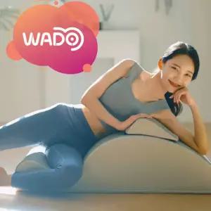 [와두]바로스파인 프로 Pro 스파인코렉터