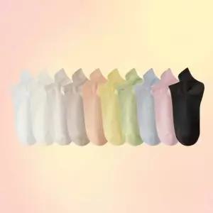 여성 단목양말 데일리 무지개색상 10쌍 캐쥬얼감성