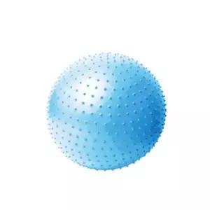 짐볼 65cm 알라스칸블루 마사지볼 전신운동 홈트 마사지볼