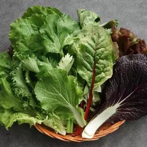 친환경 유기농 쌈채소 1kg