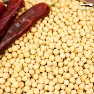 B의식탁 백태 콩 메주 가루 고추장 된장 만들기 1kg 소고기고추장볶음 고추장