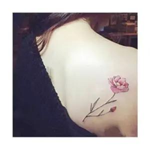 [룽스_62]스티커 수채화 느낌 사랑스러운 판박이 30종