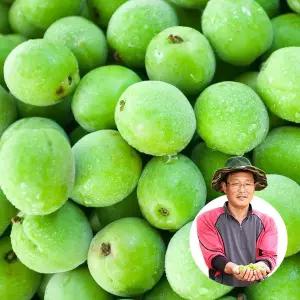 [명가일품][6월1일부터순차출고][맑은물농원] 하동 청매실 상 10kg