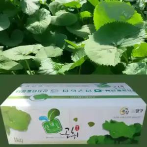 강원도 양구곰취 곤달비 곰취1kg 산나물 쌈채소