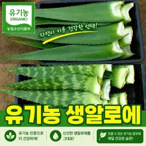 친환경 유기농 생알로에 알로에베라 사포나리아 2kg 알로에생잎 1박스