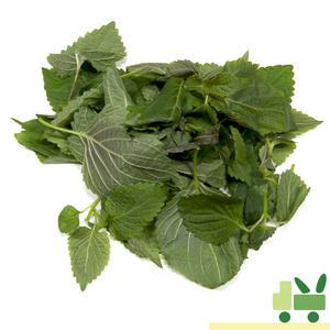 깨순 (어린깻잎 깻순) 500g
