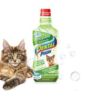 시너지 랩 덴탈 후레쉬 캣 오리지널 237ml 고양이 치아미백