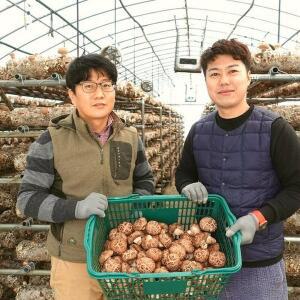 무농약 표고버섯 건표고버섯 건표고슬라이스100g