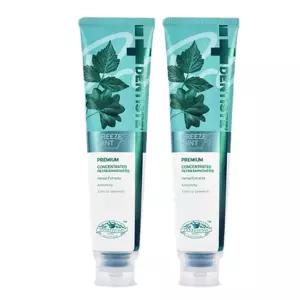 덴티스테 최신상 프리미엄 치약 뉴브리즈민트 프로 고불소 180g X 2