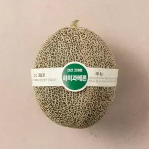 하미과 메론 1통