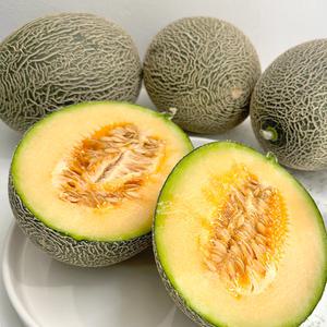 경북 고령 그린 하미과 메론 2kg (2~3과) 제철과일 성산멜론