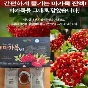 마가목진액 마가보감 가래 기침 해소 마가목 나무 열매 추출물 1박스 25개