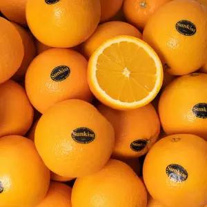 고당도 블랙라벨 오렌지 중과 20과(개당 200g 내외)