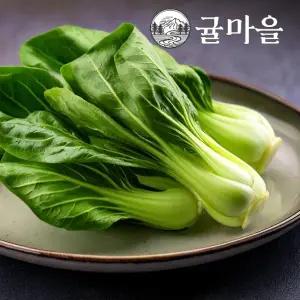 귤마을 국내산 청경채 2kg내외