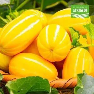 [산지모아] 성주참외 정품 5kg 대과 10-15과(16브릭스)