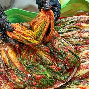 [농가살리기] 한식명인 제철 단배추 포기김치 8kg (국내산 얼갈이)