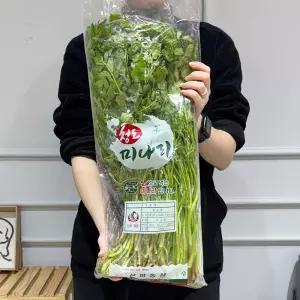 제철 청도 한재미나리 1kg 산지직송 생미나리