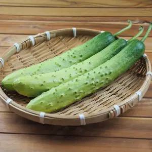 국내산 백오이 빽오이 백다다기 1kg 2kg 4kg