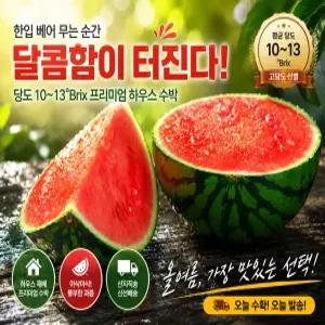 꿍이네 고당도 하우스수박 4~7kg 산지직송 꿀수박