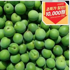 하동 매실 한정판매