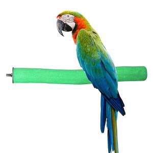 BIRD PERCH 거친 표면의 자연 나무 나뭇가지 스탠드 장난감 앵무새용