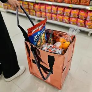 제니 롤링카트 장바구니 가방 마트 여행 캐리어 보관함