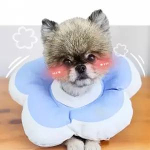 해바라기 목 보호대 수술후 착용 편안한 쿠션 부드러운 패브릭 소재