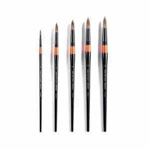 바바라 수채화붓 300R 5본조(대)SET_환 (미술)붓