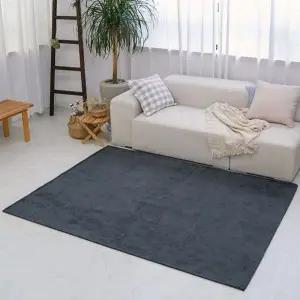 차콜 러그 방수러그 100x150cm 거실 거실카페트 쇼파카페트 카펫트