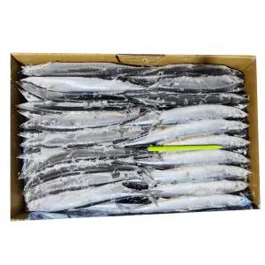 꽁치3번 9.752kg 98마리내외1박스 구이 조림 낚시통발미끼 25년8월생산최상급