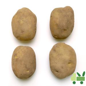 감자 20Kg (왕)