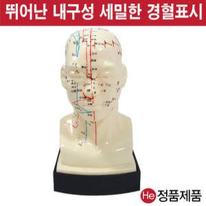 머리모형 1002ZY 사람인체구조 이끼 지압봉 요골 척골 인체해부도 고관절 침구 경혈 얼굴침술