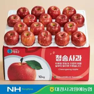 [대경사과원예농협]청송 정품 사과 10kg 46과내 부사