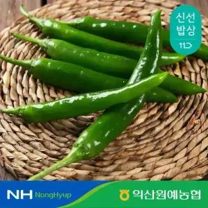 [익산원예농협] 아삭이 오이고추 특상품 1kg