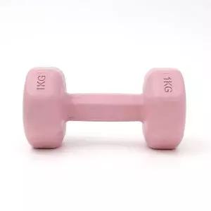 컬러 육각 덤벨 아령 2개세트 1kg 핑크