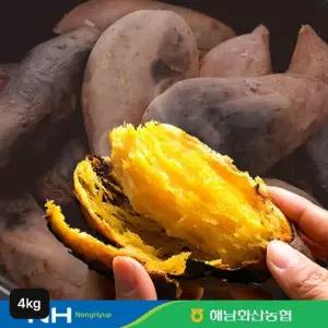 화산농협 해남 햇 꿀고구마 4kg(특상)