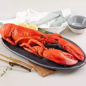 바다대로 신선한 냉동 랍스터 캐나다 자숙 랍스터 450g 1마리