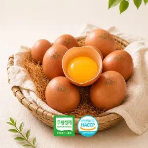 HACCP 자연방사 달걀 무항생제 난각번호1번 유정란 20구