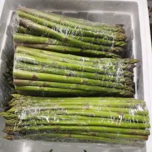 국내산 아스파라거스 1kg