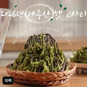 제주 햇 고사리 150g x 10팩