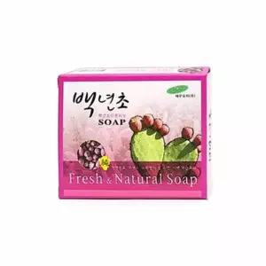[룽스_62]백년초비누 데톨비누 85g