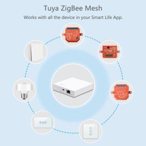 LoraTap ZigBee 3.0 롤러 블라인드 셔터 모터 용 커튼 스위치 모듈 Tuya Smart Alexa Google 홈 Zigbee2MQ